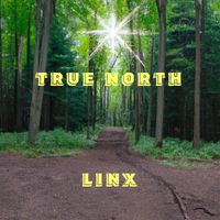 Linx - True North