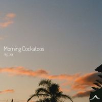 Agua - Morning Cockatoos