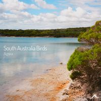 Agua - South Australia Birds
