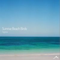 Agua - Sunrise Beach Birds