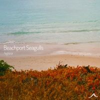 Agua - Beachport Seagulls