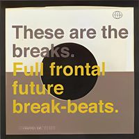 Alan Barry - These Are The Breaks
