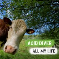Acid Diver - All My Life (Alexithymia Edit)