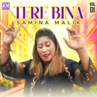 Samina Malik - Tere Bina, Vol. 1