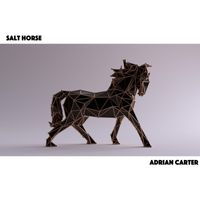 Adrian Carter - Salt Horse