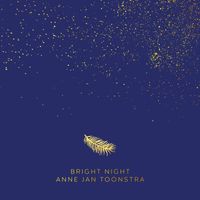 Anne Jan Toonstra - Bright Night