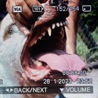 Joaquim Ramalho - Breathe Dawg