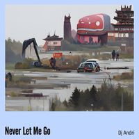 Dj Andri - Never Let Me Go