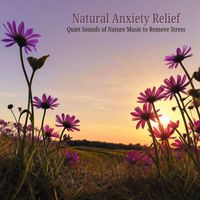 Anxiety Relief - Natural Anxiety Relief: Quiet Sounds of Nature Music to Remove Stress