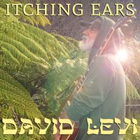 David Levi - Itching Ears