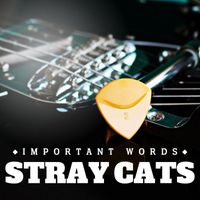 Stray Cats - Important Words