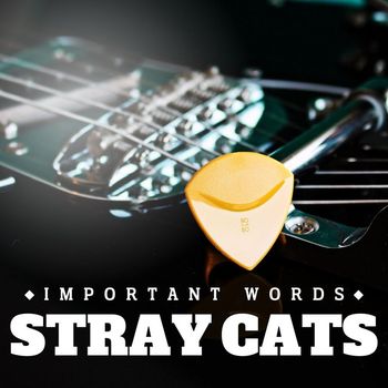 Stray Cats - Important Words