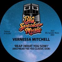 Vernessa Mitchell - Reap (What You Sow) (MicFreak Remix)