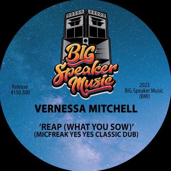 Vernessa Mitchell - Reap (What You Sow) (MicFreak Remix)