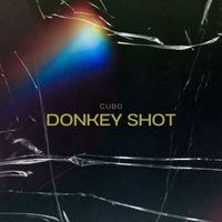 Cubo - Donkey Shot
