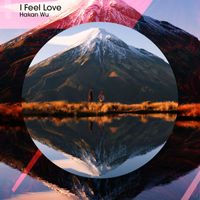 Hakan Wu - I Feel Love