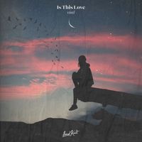 Vinil - Is This Love