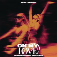 Zara Larsson & Niklas Dee feat. David Guetta - On My Love (Niklas Dee Remix)