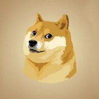 THE DOGE - Remember