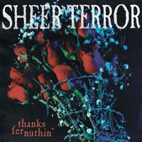 Sheer Terror - Thanks Fer Nuthin' (Explicit)