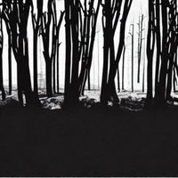 Wisp - Tangled dreams