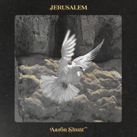 Aaron Shust - Jerusalem