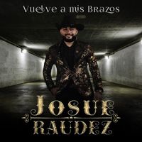 Josue Raudez - Vuelve a Mis Brazos