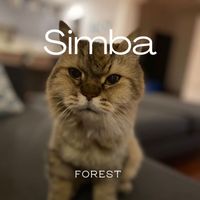 Forest - Simba