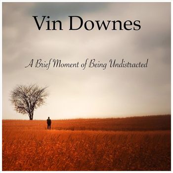 Vin Downes - A Brief Moment of Being Undistracted