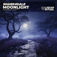 Shark4Sale - Moonlight