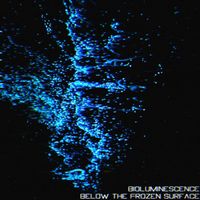 Animadrop - Bioluminescence / Below The Frozen Surface