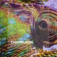 Boris Brejcha - Chameleon