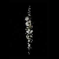 GlassHouse - Alba