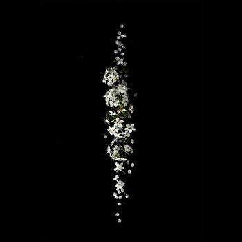 GlassHouse - Alba