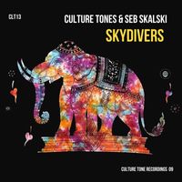 Seb Skalski - Sky Divers