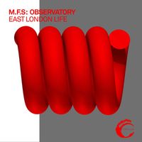 M.F.S: Observatory - East London Life