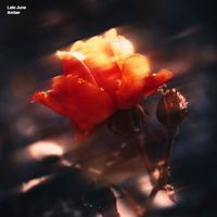 Late June - Amber