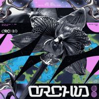 Nautical Divine - Orchid