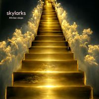 Skylarks - Divine steps