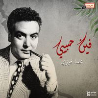 Mohamed Fawzi - فين حبيبي