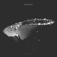Hema - Senses