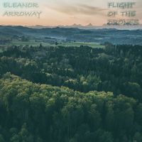 Eleanor Arroway - FLIGHT OF THE DRONES