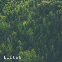 Loftet - Shallow