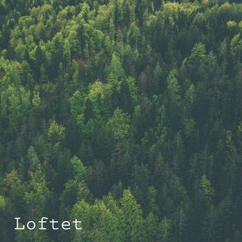 Loftet - Shallow
