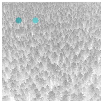 Taavi Tulev - ●●