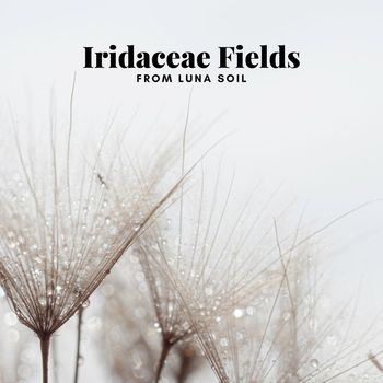 Iridaceae Fields - From Luna Soil
