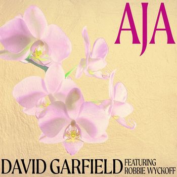 David Garfield - Aja