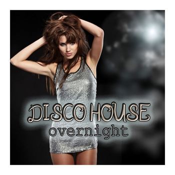 Various Artists - Disco House Overnight