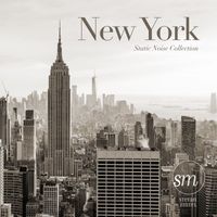 Stefan Zintel - New York (Static Noise Collection)