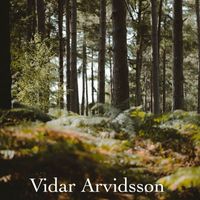 Vidar Arvidsson - Baby One More Time